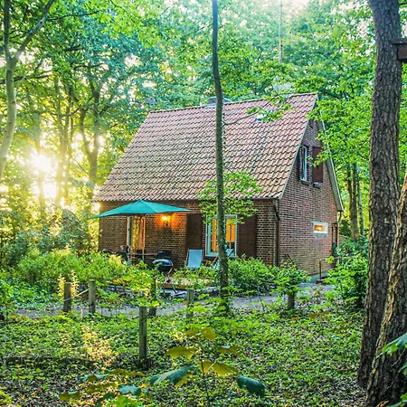 Ferienhaus Cozy In With Sauna *