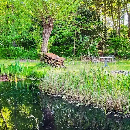 Ferienhaus Cozy In With Sauna *