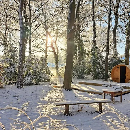 Ferienhaus Cozy In With Sauna Wingst