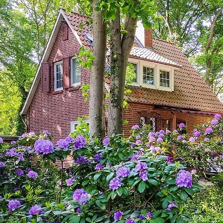 Cozy In With Sauna Ferienhaus *