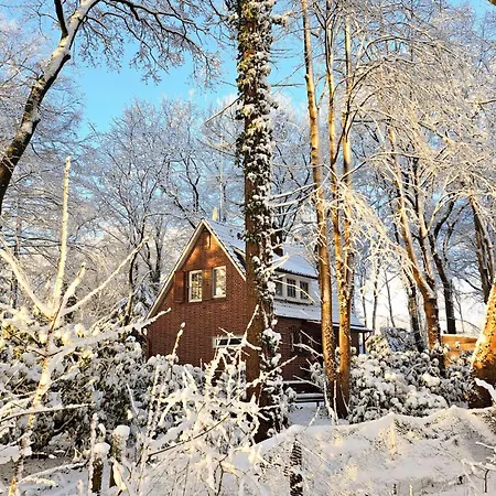 Cozy In With Sauna Wingst