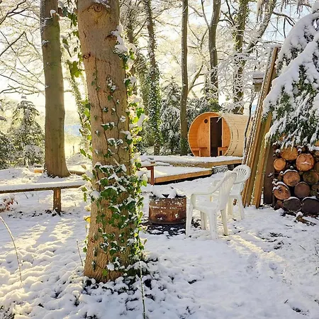 Cozy In With Sauna Wingst