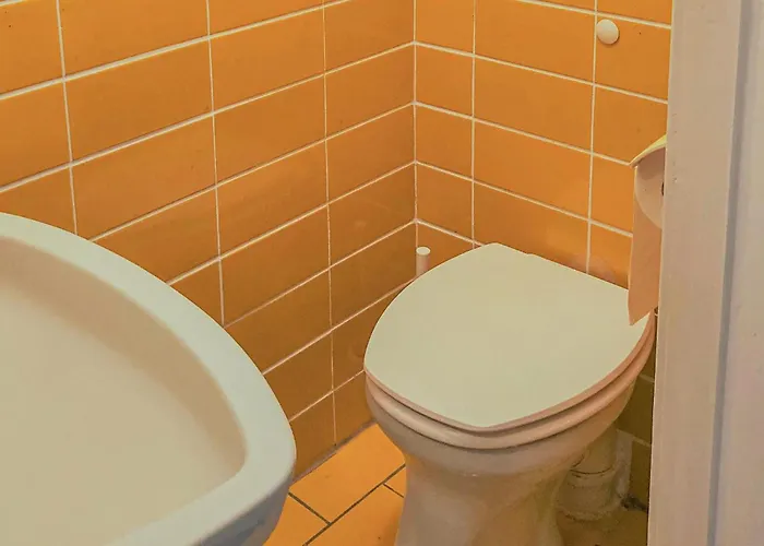 Cozy In With Sauna Vakantiehuis