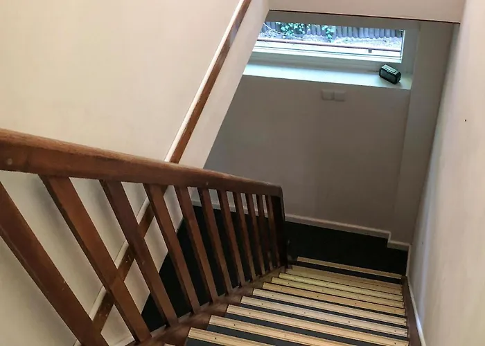 Cozy In With Sauna Vakantiehuis