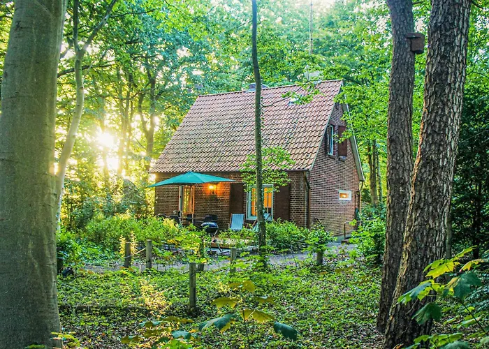 Vakantiehuis Cozy In With Sauna *