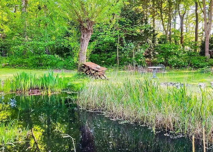 Vakantiehuis Cozy In With Sauna *