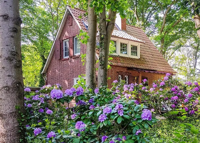 Cozy In With Sauna Vakantiehuis *