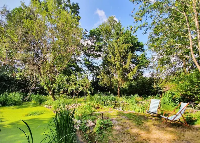 Vakantiehuis Cozy In With Sauna